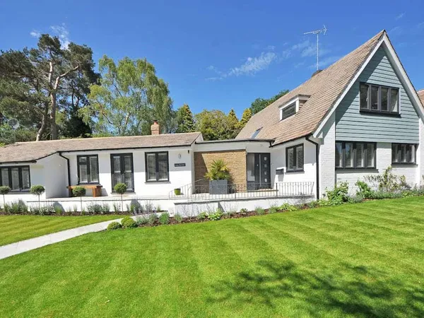 Plants And Lawn