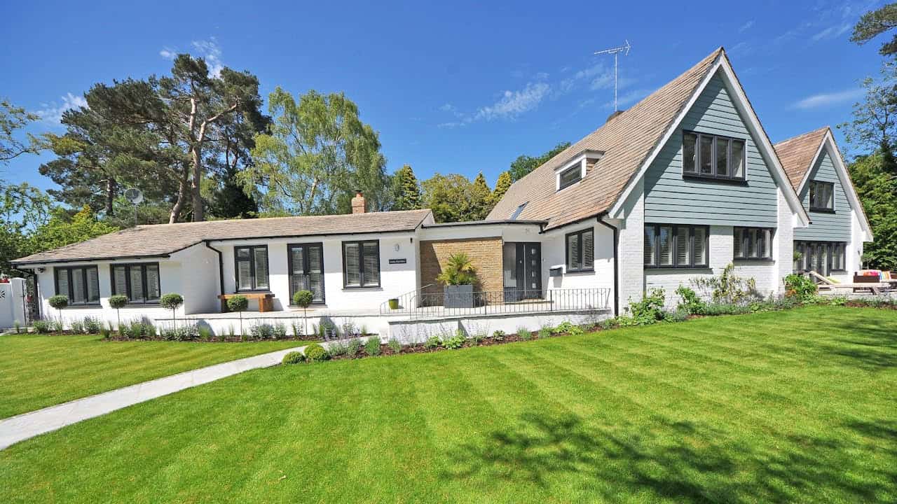 Plants protected along a lawn edge